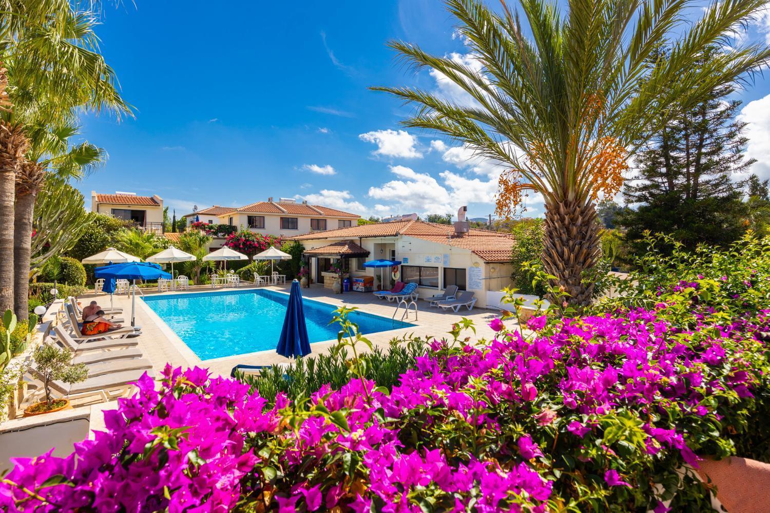Tavros Hotel Apartments Polis Chambre photo