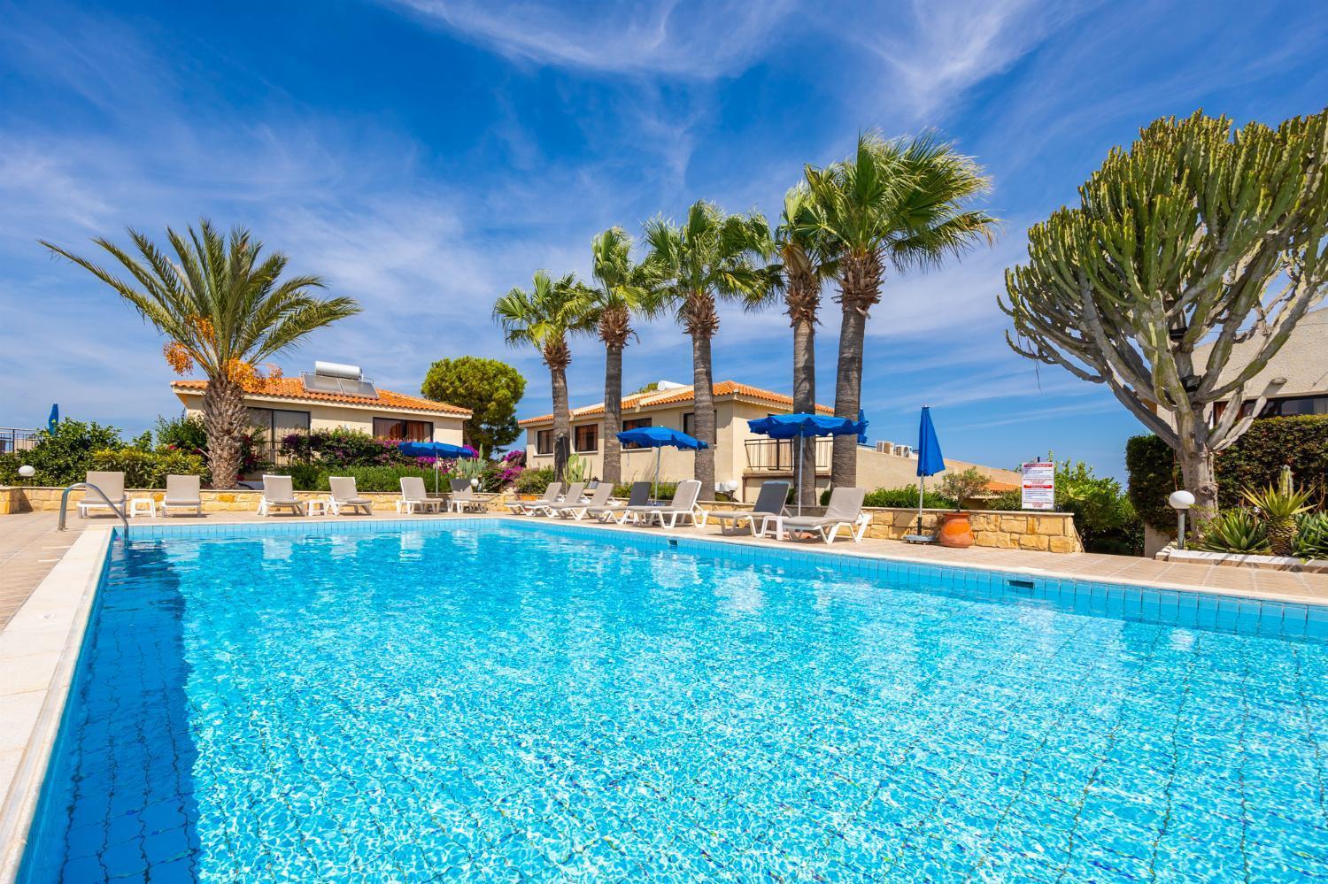 Tavros Hotel Apartments Polis Extérieur photo