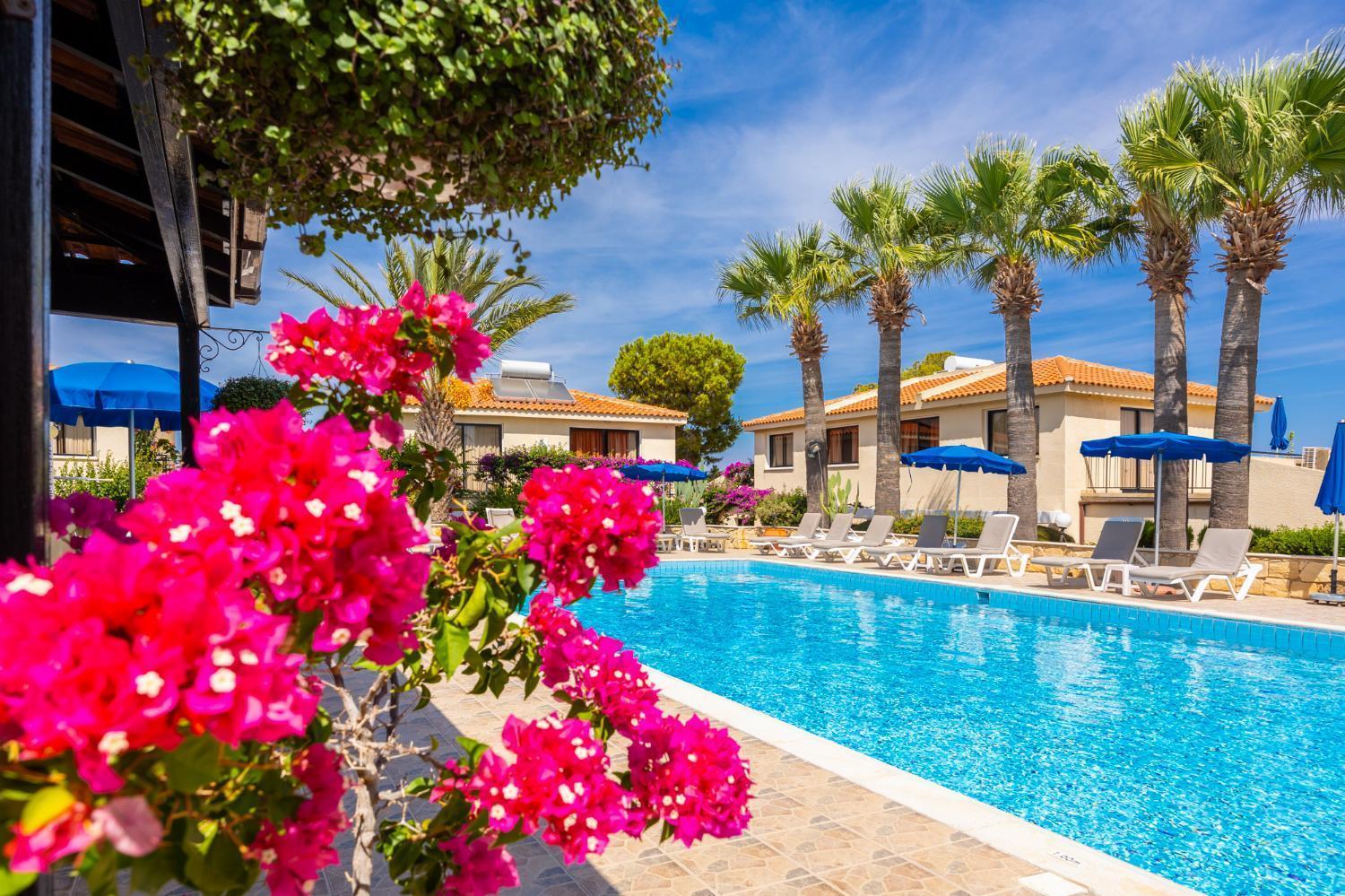 Tavros Hotel Apartments Polis Extérieur photo
