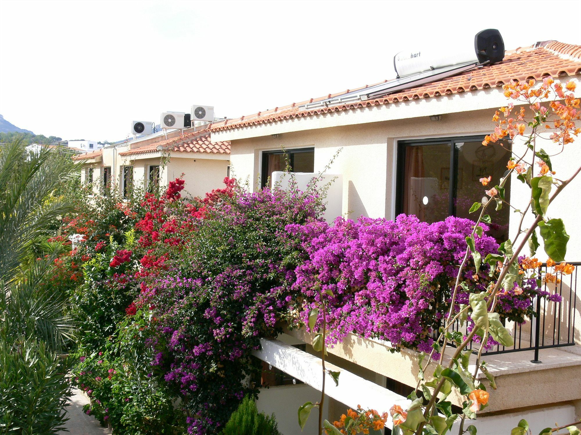 Tavros Hotel Apartments Polis Extérieur photo